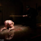 Dia Zerva in 'The Training of Dia Zerva, Day Four'