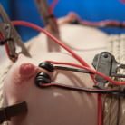 Dresden in 'The Electroslut Next Door'