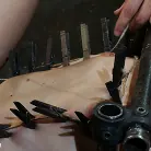 Dylan Ryan in 'How much do you love zippers'