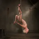 Dylan Ryan in 'Tall Blond Bombshell Taken Down'