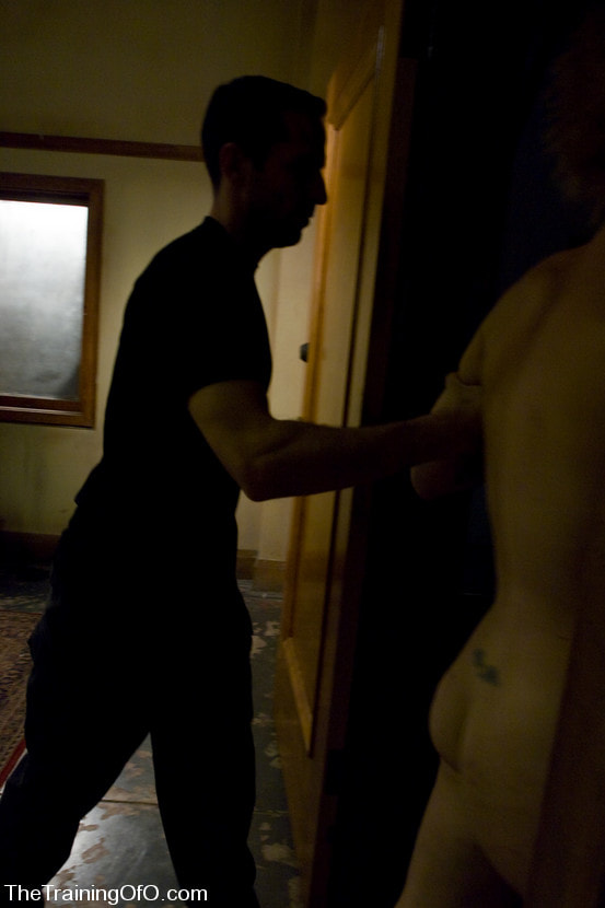 The Training of Dylan, Day Two