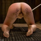 Dylan Ryan in 'The Training of Dylan, Day Two'