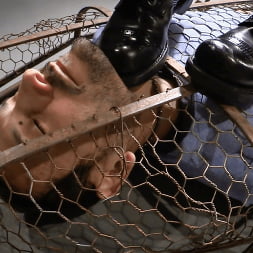 A Gilded Cage