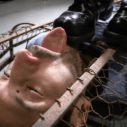 A Gilded Cage
