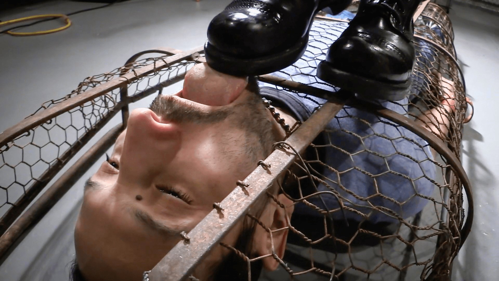 A Gilded Cage