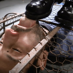 A Gilded Cage