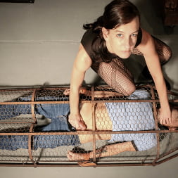 A Gilded Cage
