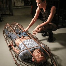 A Gilded Cage