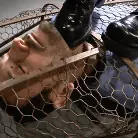 Elise Graves in 'A Gilded Cage'