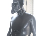 Elise Graves in 'A Taste of the Good Life'