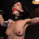 Elise Graves in 'Elise Graves - Harsh Treatment and Predicaments Noir Style - by The Pope!'