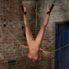 Elise Graves in 'Inverted, elbows bound, severely arched back Brutal crotch rope, massive screaming orgasms! EPIC!'
