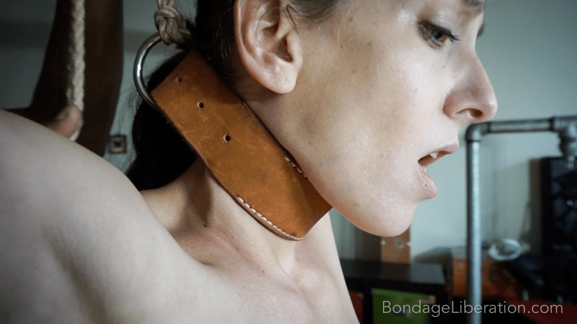 Stuffed, Clamped and Electrified