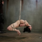 Elise Graves in 'This Bitch Will Suffer in My Ropes!!!'