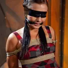 Felony in 'Double Penetrated Slut'