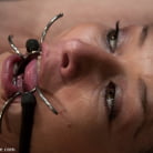 Felony in 'Felony The lights are on, but she's not home...'