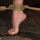 Felony in 'Kinky Lesbian Politician: The intern's submission'