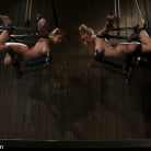 Felony in 'Part 1 of 4 of the April Live show.'