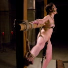 Felony in 'Sarah Shevon fist fucked by Felony'