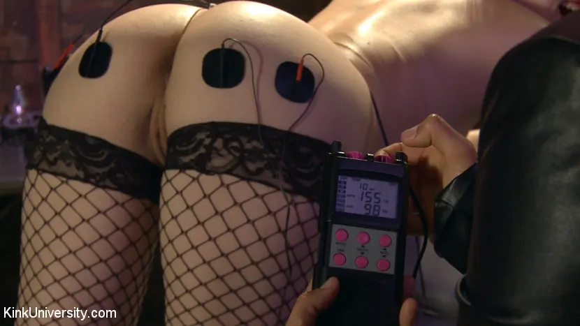 Fivestar - E-Stim 101: Introducción al electrosexo | Picture (3)