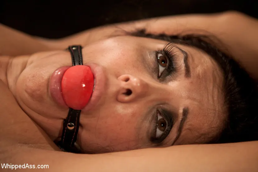 Francesca Le - Realeza de la estrella del porno: Francesca Le | Picture (14)