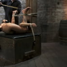 Gia DiMarco in 'Squirt Fest 2010 Like a Fucking Fountain!'