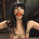 Gina Valentina in 'Gina Valentina Earns Her Collar'