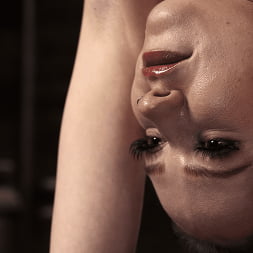 Leather and Steel: Hazel Paige