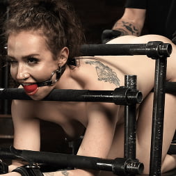 Leather and Steel: Hazel Paige