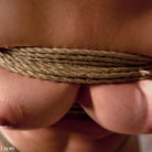 Hollie Stevens in 'The Training of Hollie Stevens Day One'