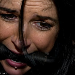 KINK Classic 3 of 20. Countdown to relaunch!