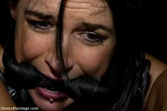 India Summer - KINK Classic 3 of 20. Countdown to relaunch! | Picture (5)