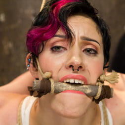 Requests Fulfilled: Impossible Bondage Positions