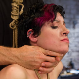 Requests Fulfilled: Impossible Bondage Positions