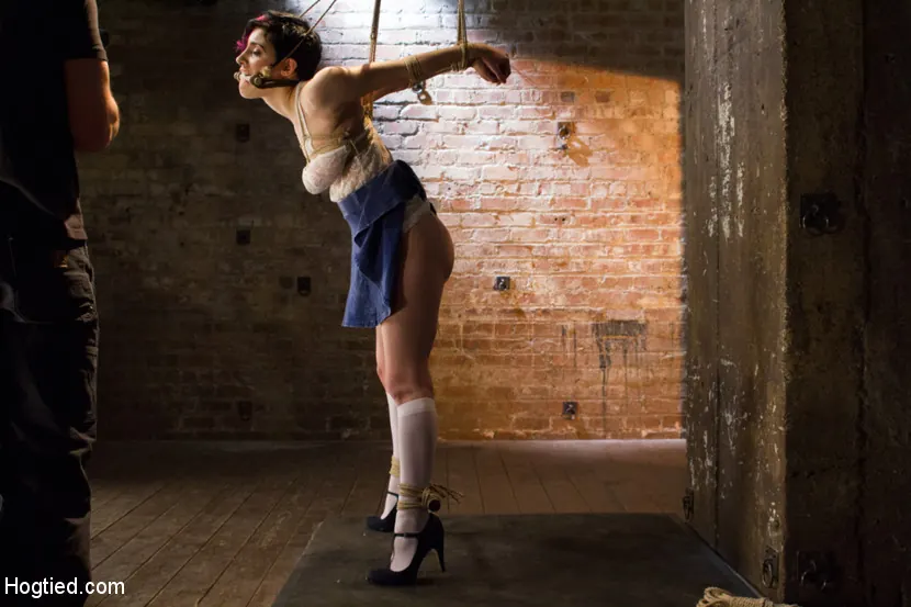 Iona Grace - Solicitudes cumplidas: posiciones de bondage imposibles | Picture (16)