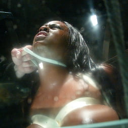 Jada Fire