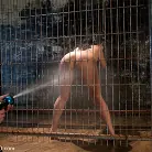 Jade Indica in 'The Training of Jade Indica, Day One'