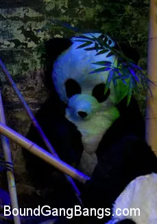 Ashli Orion - PANDAMONIO!!! ¡¡¡CANCIÓN DE PANDA!!! PORNO DE PANDA!!!!! | Picture (16)