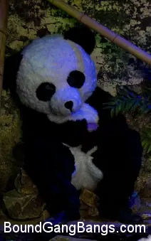 Ashli Orion - PANDAMONIO!!! ¡¡¡CANCIÓN DE PANDA!!! PORNO DE PANDA!!!!! | Picture (18)