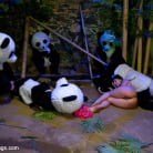 Ashli Orion in 'PANDAMONIUM!!! PANDA LULLABY!!! PANDA PORNO!!!!!'