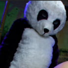 Ashli Orion in 'PANDAMONIUM!!! PANDA LULLABY!!! PANDA PORNO!!!!!'