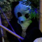 Ashli Orion in 'PANDAMONIUM!!! PANDA LULLABY!!! PANDA PORNO!!!!!'