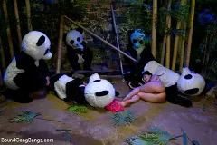 Ashli Orion - PANDAMONIUM!!! PANDA LULLABY!!! PANDA PORNO!!!!! | Picture (11)