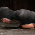 Trina Michaels in 'Tightly wrapped package'