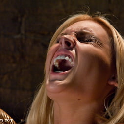 Upstairs Sybian, Downstairs Snake Double Updates