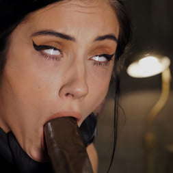 Fresh Flesh: Jazmin Luv