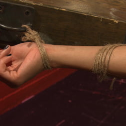 Tickling: From Teasing to Torment