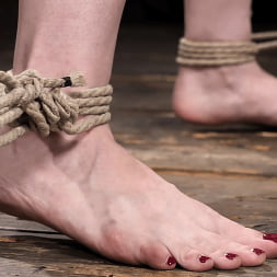 Jessica Ryan: Reencuentro en Rope
