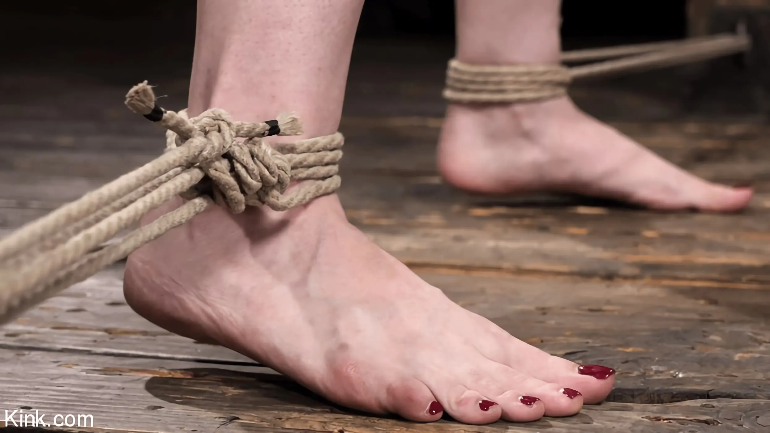 Jessica Ryan - Jessica Ryan: Reencuentro en Rope | Picture (3)