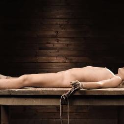 Fresh Hot Meat: Jessie Saint